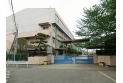 【中学校】霞ヶ関東中学校　約550m