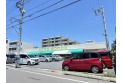 【スーパー】生鮮市場田中青果川越仙波店　約500m