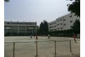 【小学校】大塚小学校　約740m