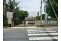 【小学校】川越第一小学校　約540m