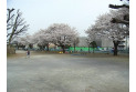 【公園】的場たぬき山公園　約1,630m