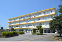 【小学校】志木市立宗岡第四小学校　約860m