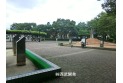 【公園】大泉中央公園　約400m