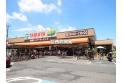 【スーパー】TAIRAYA羽沢店　約1,000m