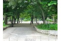 【公園】大泉公園　約950m