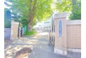 【小学校】新倉小学校　約560m