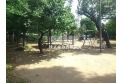 【公園】ひかわ児童公園　約350m