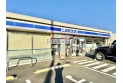 【コンビニ】ローソン朝霞根岸台2丁目店　約170m