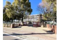 【小学校】志木市立宗岡第二小学校　約900m