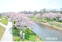 【公園】いろは親水公園　　約700m