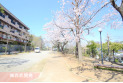【公園】柿ノ木坂児童公園　約480m