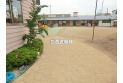 【幼稚園・保育園】富士見みずほ幼稚園　約500m