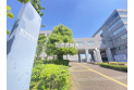 【役所】和光市役所　約2,000m
