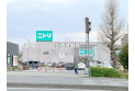【その他販売店】ニトリ成増店　約700m