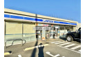 【コンビニ】ローソン朝霞根岸台2丁目店　約600m