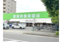 【スーパー】生鮮市場（田中青果）　約270m