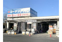 【ホームセンター】コメリハード＆グリーン羽沢店　約650m