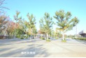 【公園】朝霞中央公園　　約430m