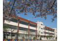 【小学校】朝霞市立朝霞第三小学校　約560m