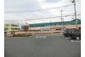 【幼稚園・保育園】なかもり幼稚園　約700m