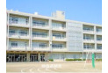 【小学校】朝霞市立朝霞第十小学校　約500m