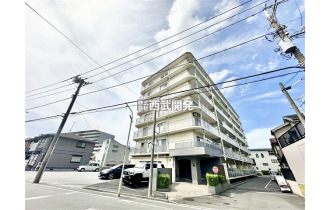 【外観】販売現地