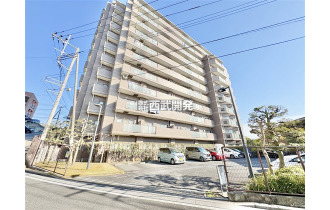 【外観】販売現地